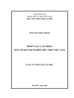 Pháp luật lao động đối với doanh nghiệp siêu nhỏ ở việt nam 