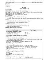 GIÁO ÁN KĨ THUẬT LỚP 5 Tuan 19