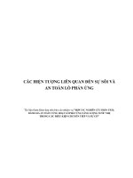 CÁC HIỆN TƯỢNG LIÊN QUAN ĐẾN SỰ SÔI VÀ AN TOÀN CỦA LÒ PHẢN ỨNG HẠT NHÂN