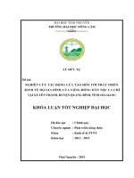 Nghiên cứu tác động của tảo hôn tới phát triển kinh tế hộ gia đình của cộng đồng dân tộc La Chí tại xã Yên Thành  huyện Quang Bình  tỉnh Hà Giang (Khóa luận tốt nghiệp)