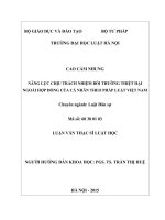 Năng lực chịu trách nhiệm bồi thường thiệt hại ngoài hợp đồng của cá nhân theo pháp luật việt nam  