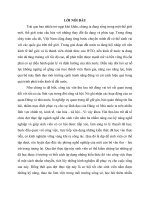 LỜI nói đầu HAY TRONG LUẬN văn đề tài tốt NGHIỆP 1 