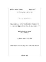 Pháp luật lao động và bảo hiểm xã hội dưới góc độ bảo vệ quyền làm mẹ của lao động nữ  