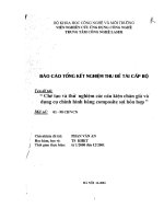 Báo cáo tổng kết nghiệm thu đề tài cấp bộ  chế tạo và thử nghiệm các cấu kiện chân giả và dụng cụ chỉnh hình bằng compositte sợi hỗn hợp 