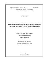 Pháp luật về bảo hiểm thất nghiệp và thực tiễn thi hành tại thành phố hồ chí minh  