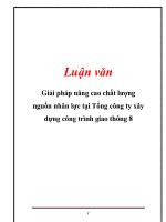 GIẢI PHÁP NÂNG CAO CHẤT LƯỢNG NGUỒN NHÂN lực tại TỔNG CÔNG TY xây DỰNG CÔNG TRÌNH GIAO THÔNG 8 