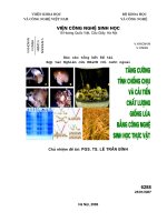 Tăng cường tính chống chịu và cải tiến chất lượng giống lúa bằng công nghệ sinh học thực vật