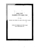 Báo cáo nghiên cứu khả thi vê việc thành lập 100% vốn nước ngoài 