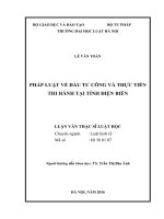 Pháp luật về đầu tư công và thực tiễn thi hành tại tỉnh điện biên  
