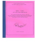 BÁO CÁO kết QUẢ THỰC HIỆN dự án xây DỰNG mô HÌNH NUÔI tôm SÚ, tôm RẢO kết hợp TRỒNG cây ăn QUẢ TRÊN VÙNG đất NHIỄM mặn VEN TRIỀN SÔNG THÁI BÌNH VÀ KINH THẦY 