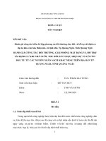 ĐÁNH GIÁ CÔNG TÁC BỒI THƯỜNG, GIẢI PHÓNG MẶT BẰNG VÀ HỖ TRỢ TÁI ĐỊNH CƯ KHI NHÀ NƯỚC THU HỒI ĐẤT THỰC HIỆN DỰ ÁN CÓ VỐN ĐẦU TƯ TỪ CÁC NGUỒN NGÂN SÁCH KHÁC NHAU TRÊN ĐỊA BÀN TP QUẢNG NGÃI, TỈNH QUẢNG NGÃI