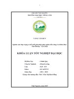 Nghiên cứu thực trạng và đề xuất giải pháp giảm nghèo bền vững ở xã Bản Hon  Tam Đường – Lai Châu (Khóa luận tốt nghiệp)