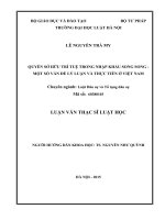 Quyền sở hữu trí tuệ trong nhập khẩu song song   một số vấn đề lý luận và thực tiễn ở việt nam  