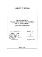 BÁO cáo kỹ THUẬT dự án   xây DỰNG mô HÌNH LÀNG SINH THÁI 