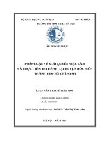 Pháp luật về giải quyết việc làm và thực tiễn thi hành tại huyện hóc môn thành phố hồ chí minh  
