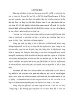 LỜI nói đầu HAY TRONG LUẬN văn đề tài tốt NGHIỆP 4 