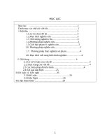 “Tổ chức hoạt động ngoại khoá tạo hứng thú học Tiếng Anh cho học sinh trung học phổ thông”