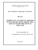 Nghiên cứu vai trò của Hội Bảo vệ người tiêu dùng trong việc bảo vệ người tiêu dùng ở Việt Nam