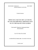 Phòng ngừa tội tàng trữ, vận chuyển, mua bán trái phép hoặc chiếm đoạt chất ma túy trên địa bàn tỉnh Nam Định