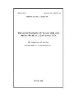 Tài sản trong pháp luật dân sự Việt Nam - Những vấn đề lý luận và thực tiễn