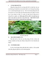 ĐỀ TÀI NGHIÊN CỨU KHOA HỌC DÀNH CHO HOC SINH TRUNG HỌC