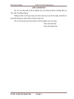 Giải pháp hoàn thiện công tác chăm sóc khách hàng tại chi nhánh đà nẵng – công ty cổ phần ô tô trường hải