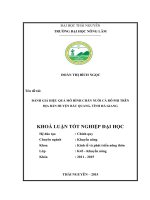 Đánh giá hiệu quả mô hình chăn nuôi cá rô phi trên địa bàn huyện Bắc Quang  Hà Giang (Khóa luận tốt nghiệp)