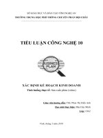 Tiểu luận Công nghệ 10: Xác định kế hoạch kinh doanh