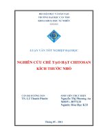 NGHIÊN cứu CHẾ tạo hạt CHITOSAN KÍCH THƯỚC NHỎ 
