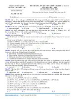 ĐỀ THI THỬ THPT QUỐC GIA MÔN SINH HỌC 2018 CÓ GIẢI CHI TIẾT yen lac tinh vinh phuc lan 1 nam 2018