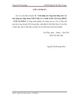 Giải pháp mở rộng hoạt động cho vay tiêu dùng tại ngân hàng TMCP đầu tư và phát triển việt nam (BIDV) – PGD tp pleiku