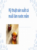kỹ thuật sản xuất cá muối làm nước mắm