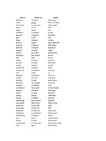 500 tính từ thông dụng trong tiếng anh