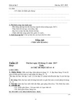 GIÁO ÁN TUẦN  13 LỚP 2