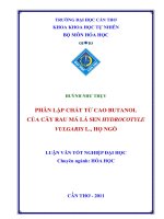 PHÂN lập CHẤT từ CAO BUTANOL của cây RAU má lá SEN HYDROCOTYLE VULGARIS l , họ NGÕ 