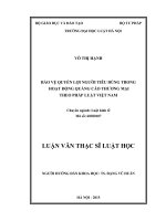 Bảo vệ quyền lợi người tiêu dùng trong hoạt động quảng cáo thương mại theo pháp luật Việt Nam