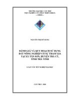 ĐÁNH GIÁ và QUY HOẠCH sử DỤNG đất NÔNG NGHIỆP có sự THAM GIA tại xã tân sơn, HUYỆN TRÀ cú, TỈNH TRÀ VINH 