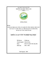 Đánh giá hiệu quả khuyến nông trong thúc đẩy sản xuất và tiêu thụ lạc trên địa bàn xã Minh Tiến, huyện Lục Yên, tỉnh Yên Bái (Khóa luận tốt nghiệp)