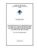 SO SÁNH NĂNG SUẤT và PHẨM CHẤT gạo các DÒNG lúa THƠM MTL250 đột BIẾN tại NÔNG TRẠI KHU II TRƯỜNG đại học cần THƠ vụ hè THU năm 2010 