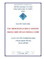 XÁC ĐỊNH HÀM LƯỢNG CAFFEINE TRONG một sô ́ sản PHẨM cà PHÊ 