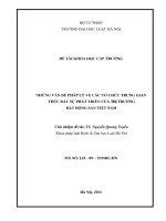 Những vấn đề pháp lý về các tổ chức trung gian thúc đẩy sự phát triển của thị trường bất động sản Việt Nam