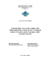 ẢNH HƯỞNG của gốc GHÉP lên SINH TRƯỞNG, NĂNG SUẤT và PHẨM CHẤT của dưa hấu tại bạc LIÊU và hậu GIANG 