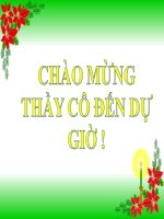 GIÁO ÁN PP BÀI MỞ ĐẦU GIỚI THIỆU VỀ LÂM NGHIỆP
