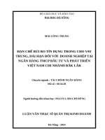 Hạn chế rủi ro tín dụng trong cho vay trung, dài hạn đối với doanh nghiệp tại ngân hàng TMCP đầu tư và phát triển việt nam chi nhánh đắk lắk