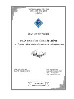 PHÂN TÍCH TÌNH HÌNH tài CHÍNH tại CÔNG TY TRÁCH NHIỆM hữu hạn dược PHẨM HỒNG MAI 