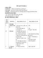 Giáo án môn tin học lớp 3  ôn tập vẽ TRÊN máy TÍNH