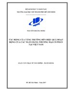 tác động của tăng trương đến hiệu quả hoạt động của các ngân hàng thương mại cổ phần tại việt nam 