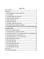 Tiểu luận tổng quang về chẩn đoán và điều trị giãn tĩnh mạch tinh trẻ em