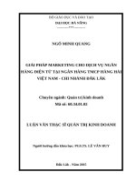 GIẢI PHÁP MARKETING CHO DỊCH vụ NGÂN HÀNG điện tử tại NGÂN HÀNG TMCP HÀNG hải VIỆT NAM   CHI NHÁNH đắk lắk