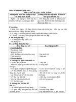 Giáo án chính tả lớp 4 tiết 5 